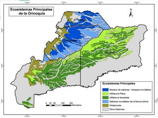 Ecosistemas estrategicos altillanura-colombia