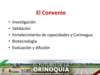 Ecosistemas estrategicos altillanura-colombia