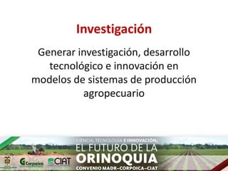 Ecosistemas estrategicos altillanura-colombia