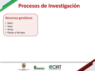 Ecosistemas estrategicos altillanura-colombia