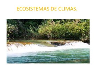 ECOSISTEMAS DE CLIMAS.
 