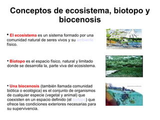 Conceptos de ecosistema, biotopo y biocenosis ,[object Object],[object Object],[object Object]