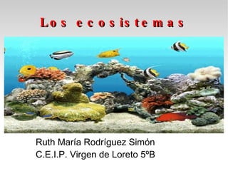 Los ecosistemas Ruth María Rodríguez Simón C.E.I.P. Virgen de Loreto 5ºB 