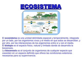 ECOSISTEMA El  ecosistema  es una unidad delimitada espacial y temporalmente, integrada por un lado, por los organismos vivos y el medio en que estos se desarrollan, y por otro, por las interacciones de los organismos entre sí y con el medio.  El  biotopo  es el espacio físico, natural y limitado donde se desarrolla la biocenosis, La  biocenosis  es   el conjunto de organismos de cualquier especie que coexisten en un espacio definido que ofrece las condiciones exteriores necesarias para su supervivencia. 