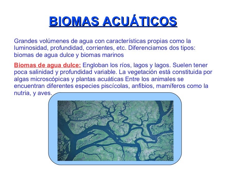 Resultado de imagen para biomas acuaticos