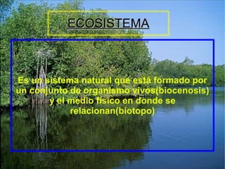ECOSISTEMA Es un sistema natural que está formado por un conjunto de organismo vivos(biocenosis) y el medio físico en donde se relacionan(biotopo) 