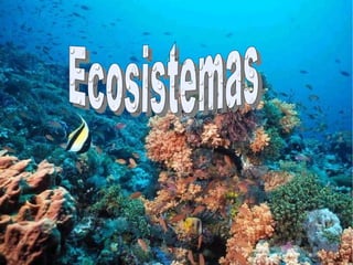 s Ecosistemas 