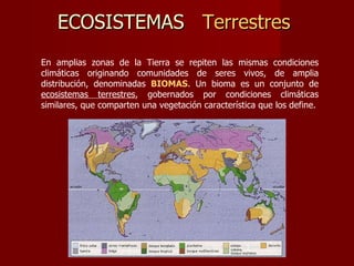 ECOSISTEMAS  Terrestres   En amplias zonas de la Tierra se repiten las mismas condiciones climáticas originando comunidades de seres vivos, de amplia distribución, denominadas  BIOMAS . Un bioma es un conjunto de  ecosistemas terrestres , gobernados por condiciones climáticas similares, que comparten una vegetación característica que los define.  