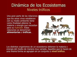 Dinámica de los Ecosistemas Niveles tróficos Una gran parte de las relaciones que los seres vivos establecen con su medio ambiente tiene como finalidad obtener la materia y energía que necesitan para su  nutrición . Estas relaciones se denominan  alimentarias  o  tróficas .  Los distintos organismos de un ecosistema obtienen la materia y energía del medio de manera muy variada. Aquellos que lo hacen de una misma forma se agrupan en un conjunto o  nivel trófico .  