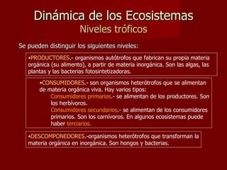 Dinámica de los Ecosistemas Niveles tróficos Se pueden distinguir los siguientes niveles:  PRODUCTORES .- organismos autótrofos que fabrican su propia materia orgánica (su alimento), a partir de materia inorgánica. Son las algas, las plantas y las bacterias fotosintetizadoras. CONSUMIDORES .- son organismos heterótrofos que se alimentan de materia orgánica viva. Hay varios tipos: Consumidores primarios .- se alimentan de los productores. Son los herbívoros. Consumidores secundarios .- se alimentan de los consumidores primarios. Son los carnívoros. En algunos ecosistemas puede haber  terciarios. DESCOMPONEDORES .-organismos heterótrofos que transforman la materia orgánica en inorgánica. Son hongos y bacterias. 