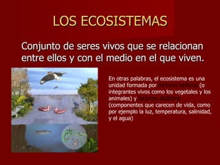LOS ECOSISTEMAS Conjunto de seres vivos que se relacionan entre ellos y con el medio en el que viven. En otras palabras, el ecosistema es una unidad formada por  factores bióticos  (o integrantes vivos como los vegetales y los animales) y  factores   abióticos  (componentes que carecen de vida, como por ejemplo la luz, temperatura, salinidad, y el agua)  