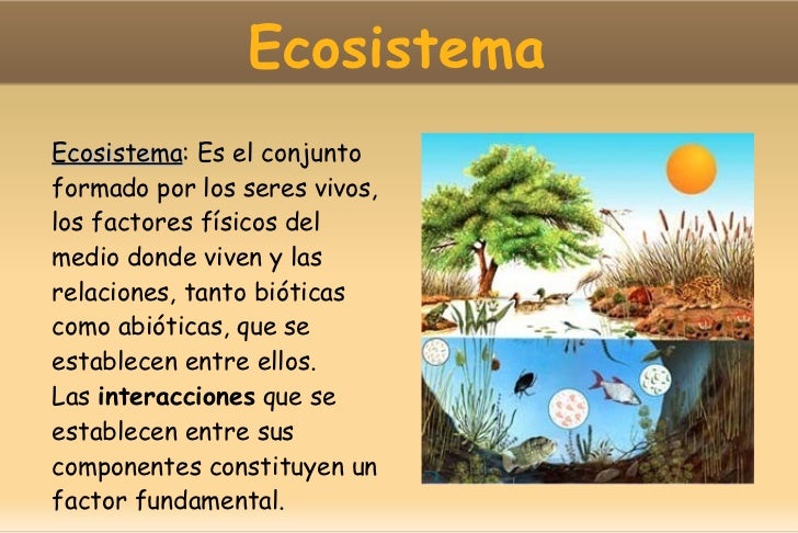 Ecosistemas 1