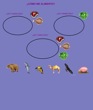 ¿CÓMO ME ALIMENTO?


¿SOY CARNÍVORO?                        ¿SOY HERBÍVORO?




                     ¿SOY OMNÍVORO?
 
