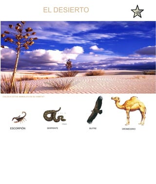 EL DESIERTO                        SABER
                                                                      MÁS




COLOCA ESTOS ANIMALES EN SU HÁBITAT:




      ESCORPIÓN                        SERPIENTE   BUITRE   DROMEDARIO
 