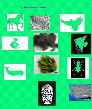 ATRÉVETE A VESTIRNOS
 