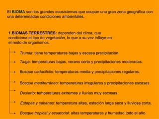 El BIOMA son los grandes ecosistemas que ocupan una gran zona geográfica con
una determinadas condiciones ambientales.



1.BIOMAS TERRESTRES: dependen del clima, que
condiciona el tipo de vegetación, lo que a su vez influye en
el resto de organismos.

      Trunda: tiene temperaturas bajas y escasa precipitación.

      Taiga: temperaturas bajas, verano corto y precipitaciones moderadas.

      Bosque caducifolio: temperaturas media y precipitaciones regulares.

      Bosque mediterráneo: temperaturas irregulares y precipitaciones escasas.

      Desierto: temperaturas extremas y lluvias muy escasas.

      Estepas y sabanas: temperatura altas, estación larga seca y lluviosa corta.

      Bosque tropical y ecuatorial: altas temperaturas y humedad todo el año.
 
