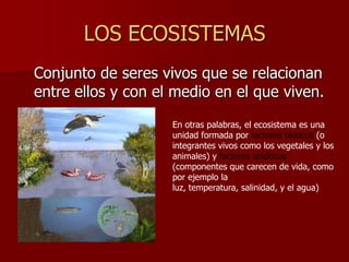 LOS ECOSISTEMAS
Conjunto de seres vivos que se relacionan
entre ellos y con el medio en el que viven.
En otras palabras, el ecosistema es una
unidad formada por factores bióticos (o
integrantes vivos como los vegetales y los
animales) y factores abióticos
(componentes que carecen de vida, como
por ejemplo la
luz, temperatura, salinidad, y el agua)

 