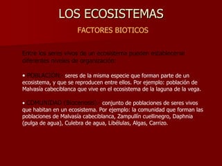 LOS ECOSISTEMAS
FACTORES BIOTICOS
Entre los seres vivos de un ecosistema pueden establecerse
diferentes niveles de organización:
• POBLACIÓN.- seres de la misma especie que forman parte de un

ecosistema, y que se reproducen entre ellos. Por ejemplo: población de
Malvasía cabeciblanca que vive en el ecosistema de la laguna de la vega.
• COMUNIDAD (Biocenosis).- conjunto de poblaciones de seres vivos
que habitan en un ecosistema. Por ejemplo: la comunidad que forman las
poblaciones de Malvasía cabeciblanca, Zampullín cuellinegro, Daphnia
(pulga de agua), Culebra de agua, Libélulas, Algas, Carrizo.

 