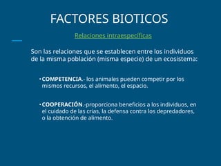 FACTORES BIOTICOS
Relaciones intraespecíficas
Son las relaciones que se establecen entre los individuos
de la misma población (misma especie) de un ecosistema:
•COMPETENCIA.- los animales pueden competir por los
mismos recursos, el alimento, el espacio.
•COOPERACIÓN.-proporciona beneficios a los individuos, en
el cuidado de las crias, la defensa contra los depredadores,
o la obtención de alimento.
 