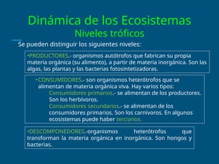 Dinámica de los Ecosistemas
Niveles tróficos
Se pueden distinguir los siguientes niveles:
•PRODUCTORES.- organismos autótrofos que fabrican su propia
materia orgánica (su alimento), a partir de materia inorgánica. Son las
algas, las plantas y las bacterias fotosintetizadoras.
•CONSUMIDORES.- son organismos heterótrofos que se
alimentan de materia orgánica viva. Hay varios tipos:
Consumidores primarios.- se alimentan de los productores.
Son los herbívoros.
Consumidores secundarios.- se alimentan de los
consumidores primarios. Son los carnívoros. En algunos
ecosistemas puede haber terciarios.
•DESCOMPONEDORES.-organismos heterótrofos que
transforman la materia orgánica en inorgánica. Son hongos y
bacterias.
 