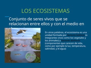 LOS ECOSISTEMAS
Conjunto de seres vivos que se
relacionan entre ellos y con el medio en
el que viven.
En otras palabras, el ecosistema es una
unidad formada por factores bióticos (o
integrantes vivos como los vegetales y
los animales) y factores abióticos
(componentes que carecen de vida,
como por ejemplo la luz, temperatura,
salinidad, y el agua)
 