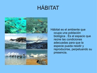 HÁBITAT Hábitat es el ambiente que ocupa una población biológica . Es el espacio que reúne las condiciones adecuadas para que la especie pueda residir y reproducirse, perpetuando su presencia. 
