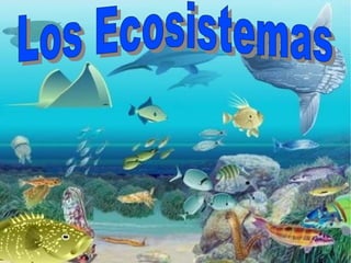Los Ecosistemas 