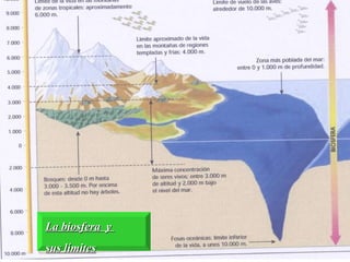 La biosfera  y  sus límites 