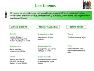 Los biomas Un  bioma  es un ecosistema muy grande que se encuentra en zonas que tienen condiciones similares de luz, temperatura y humedad, y que tiene una vegetación y una fauna típicas. ZONAS CÁLIDAS Desierto . ZONAS TEMPLADAS Bosque mediterráneo. ZONAS FRÍAS Tundra . Bosque tropical . Sabana .  Bosque caducifolio. Pradera templada. Taiga. Escasez de agua y  temperaturas muy altas de día y muy bajas de noche. Mucha humedad y  temperaturas cálidas. Alterna una estación muy seca con una de  lluvias a lo largo del año. Viven plantas de hoja  perenne. Viven plantas que pierden las hojas en otoño. Grandes llanuras cubiertas de hierba y muy pocos  árboles. Temperaturas muy bajas. Bosque de zonas frías con árboles con flores y piñas. 