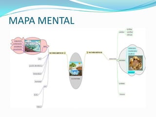 MAPA MENTAL