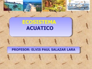 ECOSISTEMA  ACUATICO  PROFESOR: ELVIS PAUL SALAZAR LARA 
