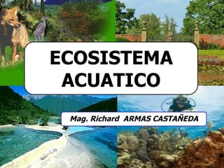 ECOSISTEMA ACUATICO Mag. Richard  ARMAS CASTAÑEDA 