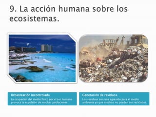 9. La acción humana sobre los ecosistemas.Urbanización incontroladaLa ocupación del medio físico por el ser humano provoca la expulsión de muchas poblacionesGeneración de residuos.Los residuos son una agresión para el medio ambiente ya que muchos no pueden ser reciclados.