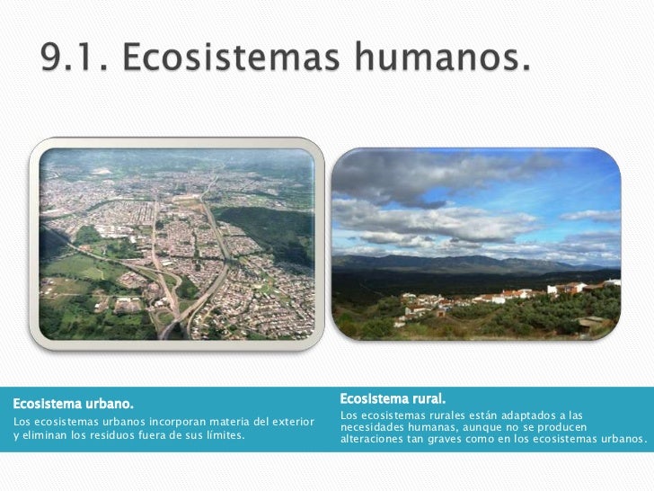 Ecosistemas 2