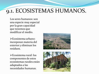 9.1. ECOSISTEMAS HUMANOS.
 Los seres humanos: son
 una especie muy especial
 por la gran capacidad
 que tenemos que
 modificar el medio.

 Ecosistema urbano:
 incorporan materia del
 exterior y eliminan los
 residuos.

 Ecosistema rural: los
 componentes de estos
 ecosistemas rurales están
 adaptados a las
 necesidades humanas.
 