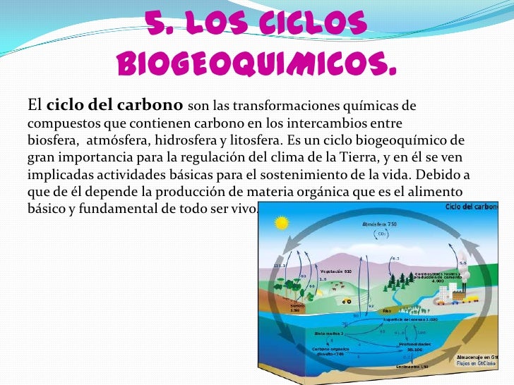 Ecosistemas 2
