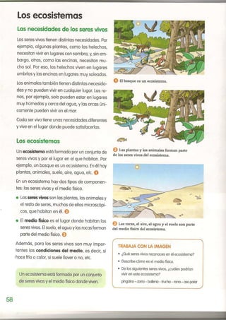 Ecosistemas 2