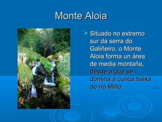 Monte Aloia
         Situado no extremo
          sur da serra do
          Galiñeiro, o Monte
          Aloia forma un área
          de media montaña,
          desde a que se
          domina a cunca baixa
          do río Miño.
 