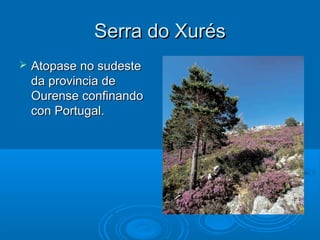 Serra do Xurés
   Atopase no sudeste
    da provincia de
    Ourense confinando
    con Portugal.
 
