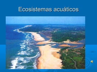 Ecosistemas acuáticos
 