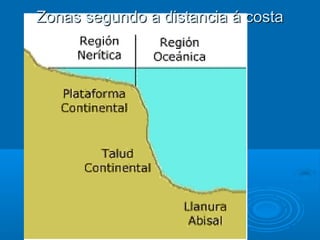 Zonas segundo a distancia á costa
 