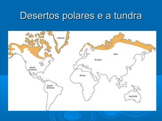 Desertos polares e a tundra
 