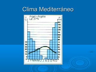 Clima Mediterráneo
 