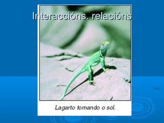 Interaccións. relacións
 
