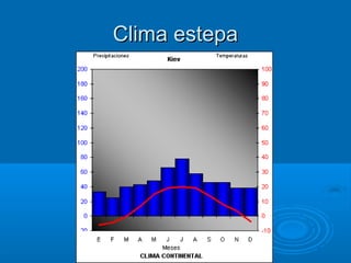 Clima estepa
 
