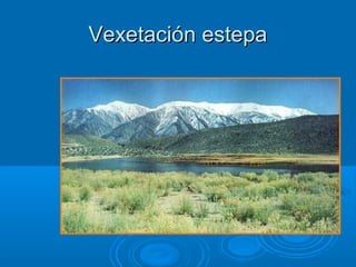 Vexetación estepa
 