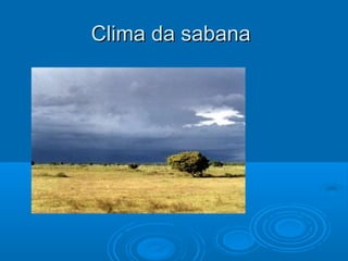 Clima da sabana
 