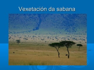 Vexetación da sabana
 