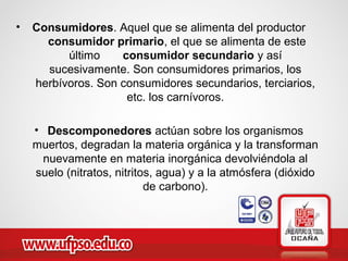 • Consumidores. Aquel que se alimenta del productor
consumidor primario, el que se alimenta de este
último consumidor secundario y así
sucesivamente. Son consumidores primarios, los
herbívoros. Son consumidores secundarios, terciarios,
etc. los carnívoros.
• Descomponedores actúan sobre los organismos
muertos, degradan la materia orgánica y la transforman
nuevamente en materia inorgánica devolviéndola al
suelo (nitratos, nitritos, agua) y a la atmósfera (dióxido
de carbono).
 