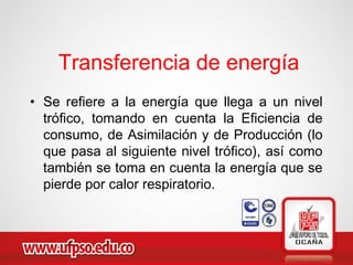 • Se refiere a la energía que llega a un nivel
trófico, tomando en cuenta la Eficiencia de
consumo, de Asimilación y de Producción (lo
que pasa al siguiente nivel trófico), así como
también se toma en cuenta la energía que se
pierde por calor respiratorio.
Transferencia de energía
 